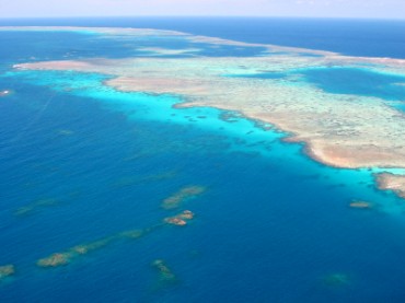 Great Barrier Reef in Australia