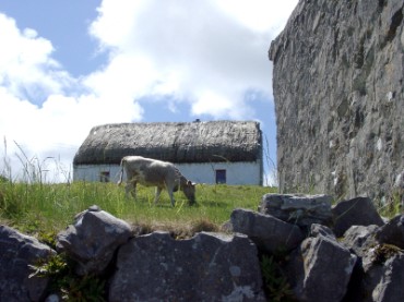Farm House in Ireland
