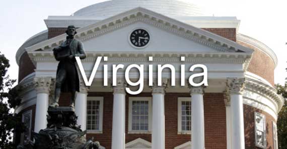 Virginia Lesson Banner