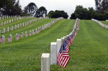 U.S. Flags Mark Graves for Memorial Day